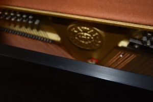 BDA 3082