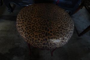 DSC02441