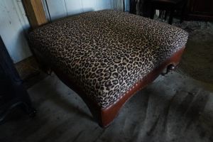 DSC02447