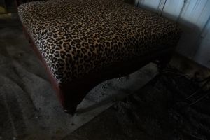 DSC02449