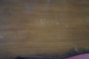 DSC02477