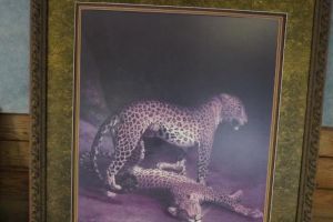 DSC02921