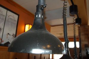 DSC 0613